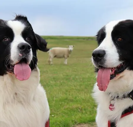 Tatil Evi Nordseepirat Haushaelfte