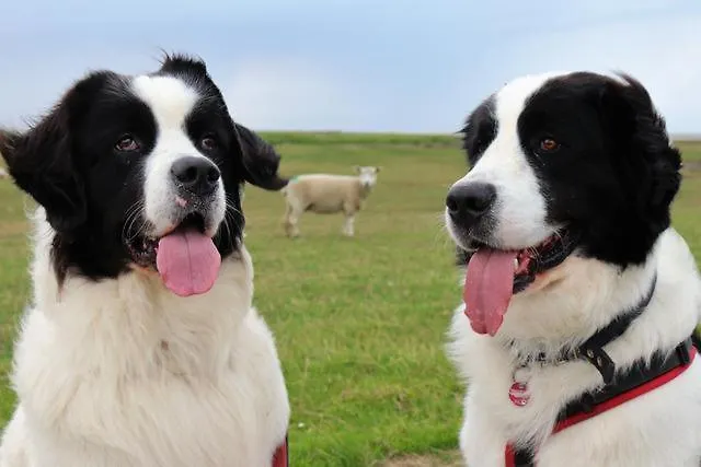 Vakantiehuis Nordseepirat Haushaelfte
